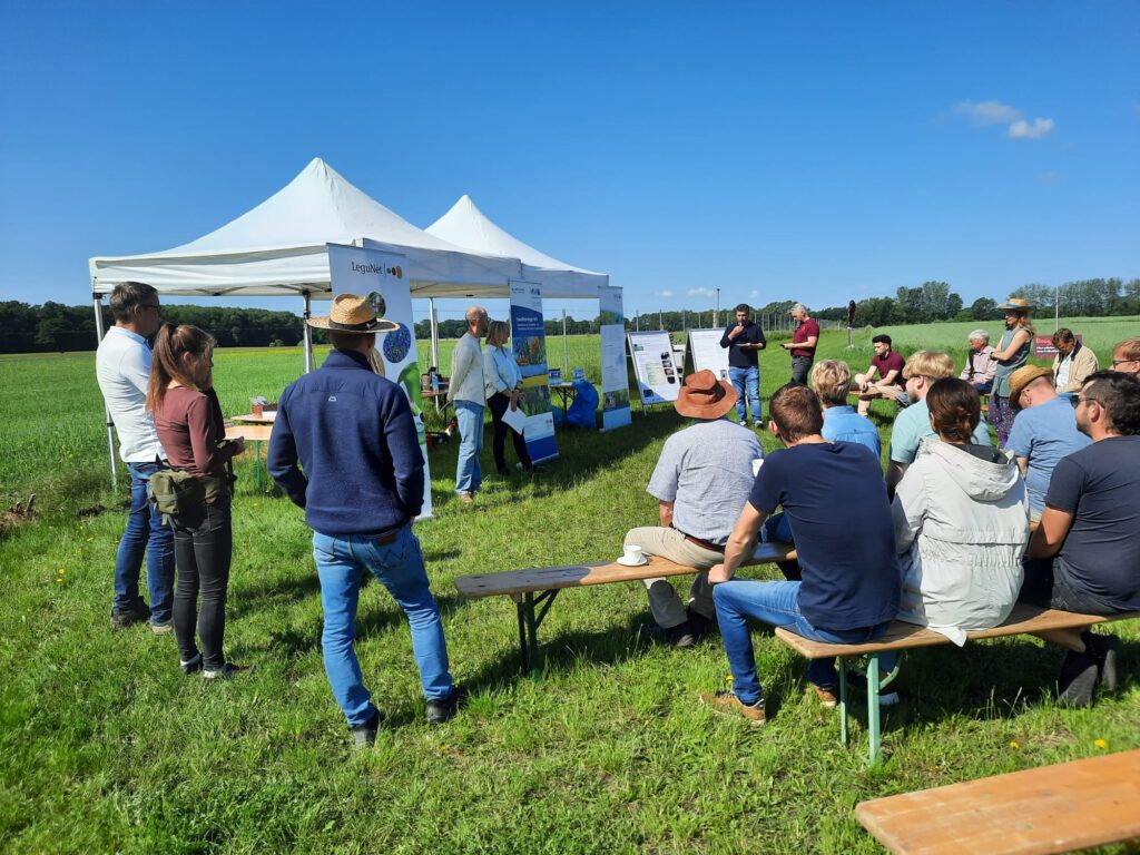 Besuchergruppe beim Lupinen-Feldtag 2025