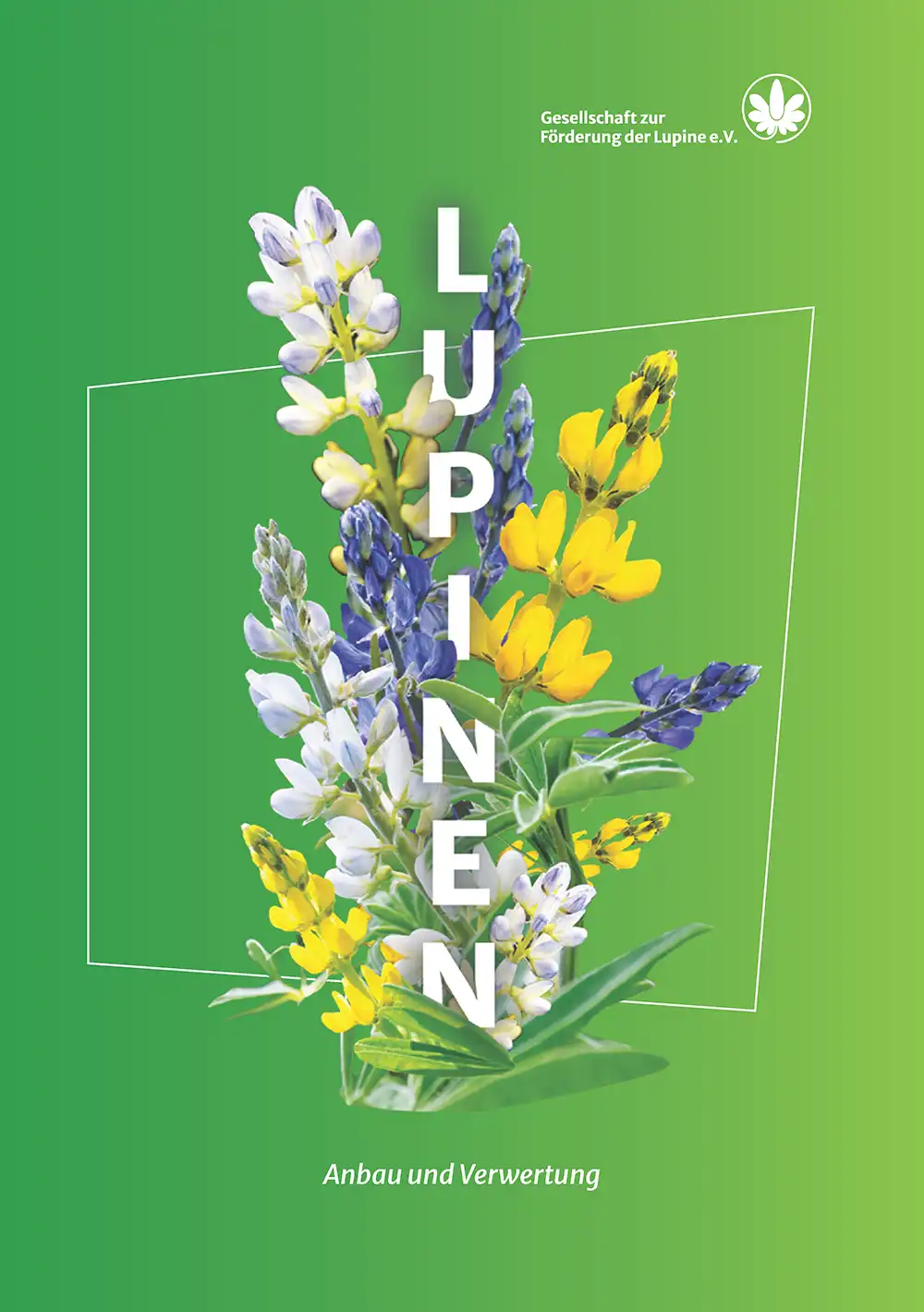 Lupinen Broschüre 2025 download